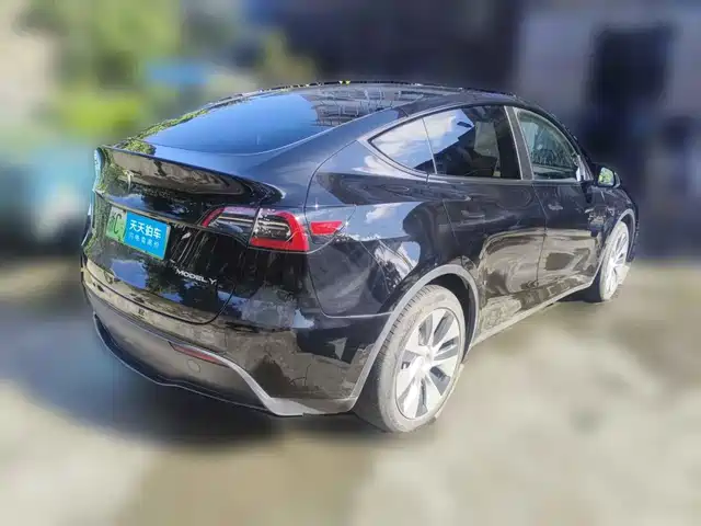 Tesla Model Y 2022 Facelift Rear-Wheel Drive Version — фото 2
