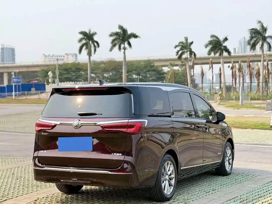 Buick GL8 2020 Avenir Six-Seat Elegance Edition фото 4
