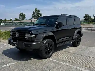 Tank 300