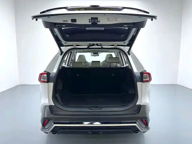 Toyota Wildlander 2020 2.0L CVT 2WD Premium фото 15
