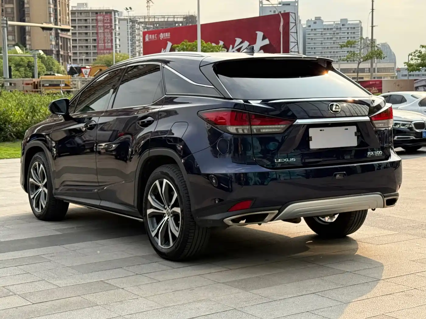 Фото 7 - Lexus RX