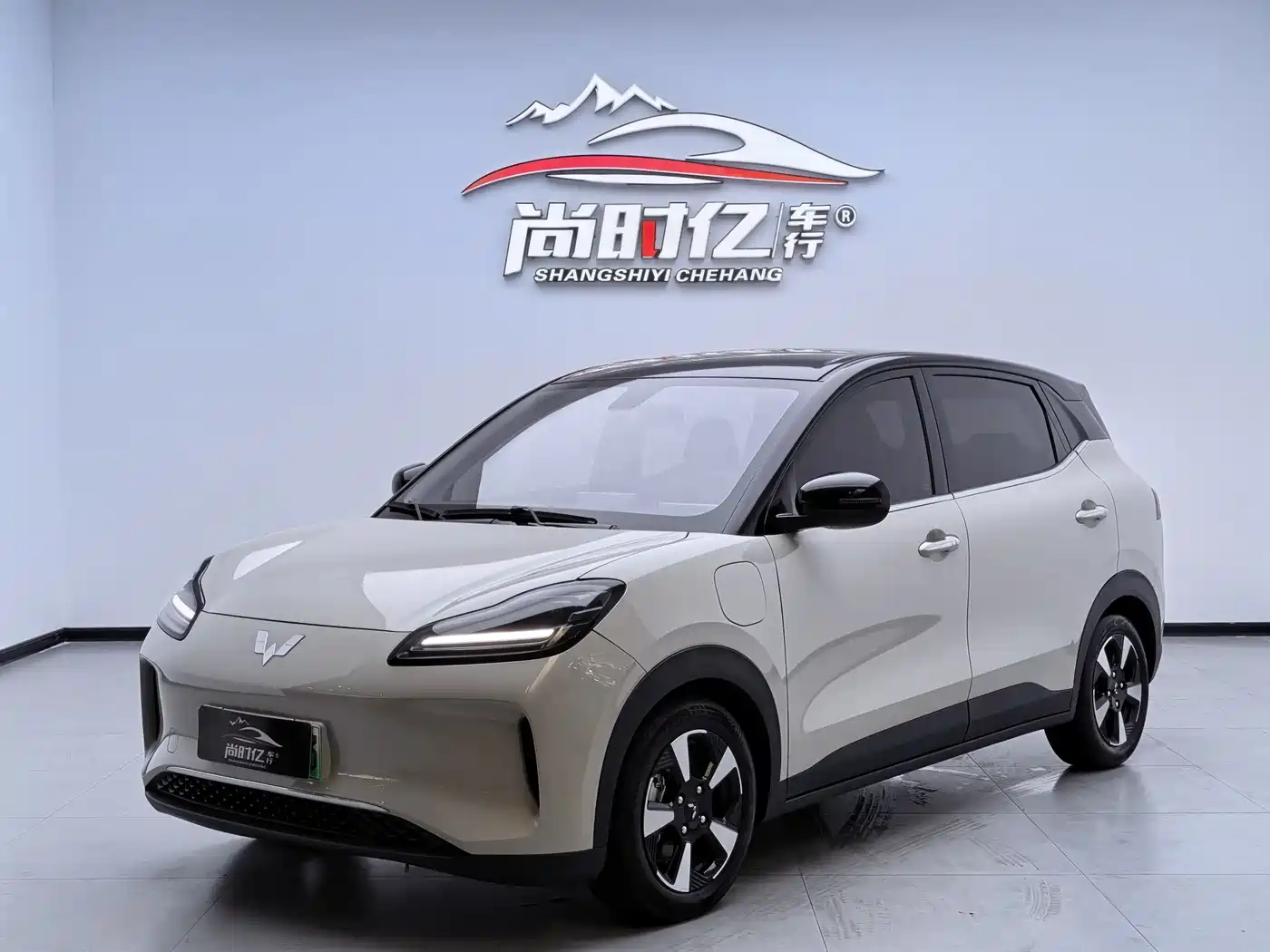 Wuling Motors Wuling Binguo PLUS 2024 401km Range 5-seater