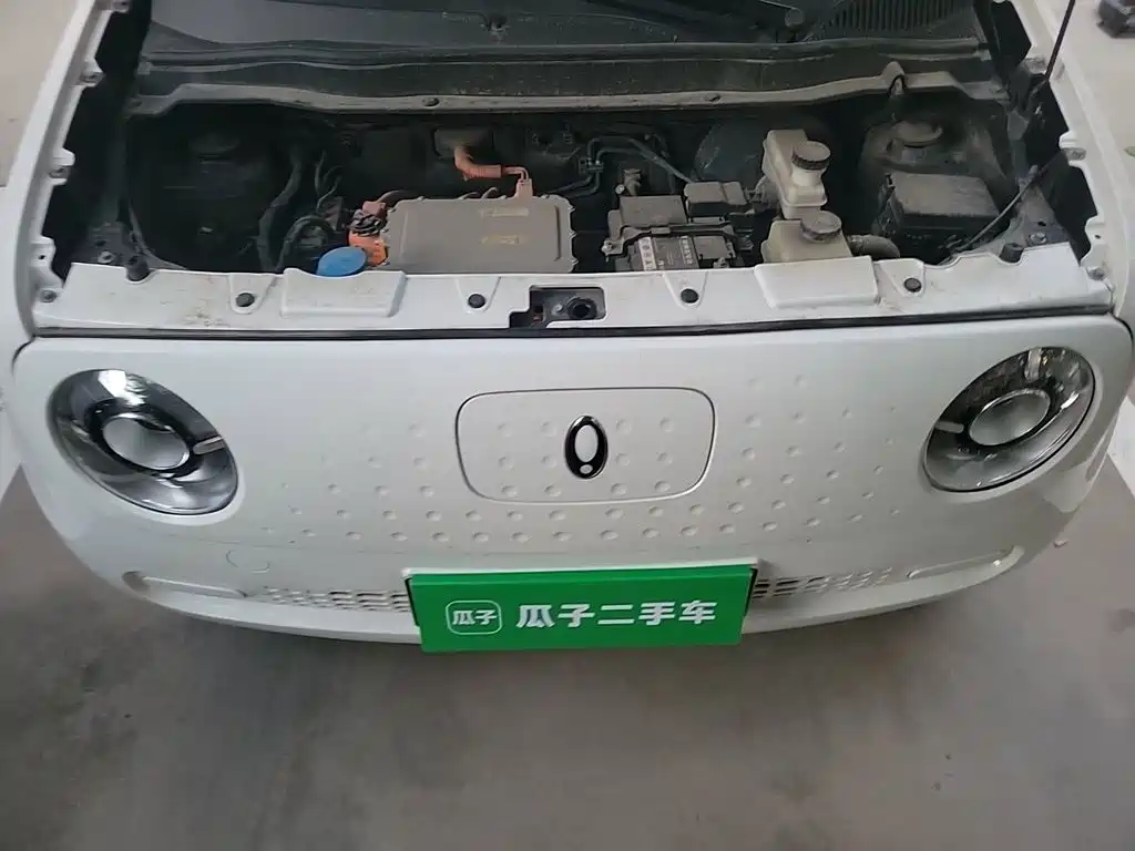 Ora Black Cat 2022 2022 301km Cute Pet Edition (LFP)
