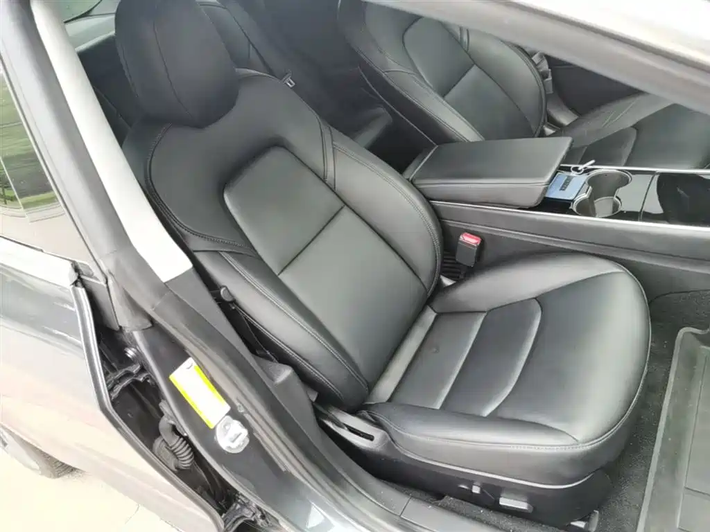 Tesla Model 3 (Import) 2019 2019 Performance High-Efficiency All-Wheel Drive Version
