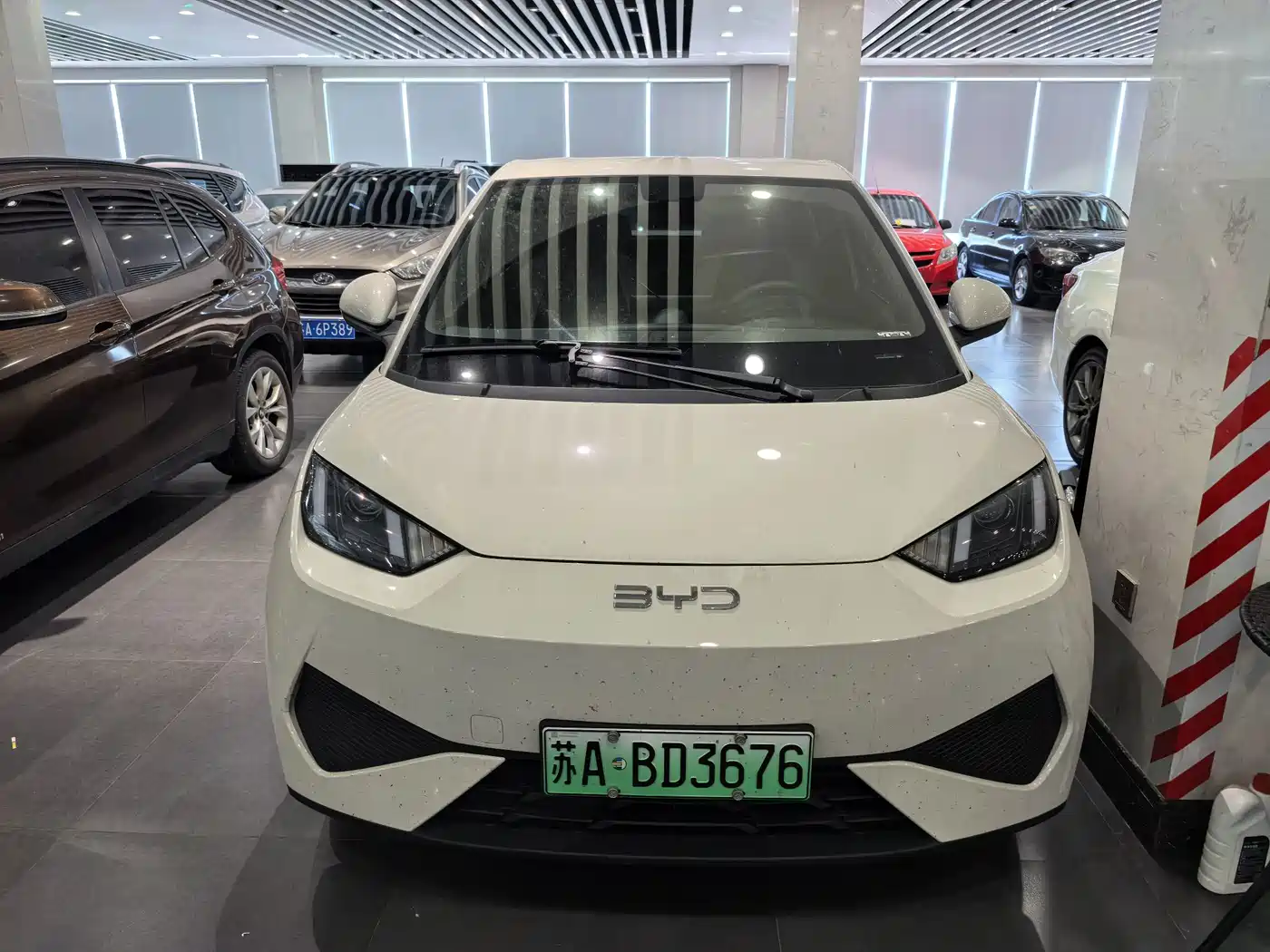 BYD Seagull 2026 2025 Smart Drive Edition 305km Vitality Version