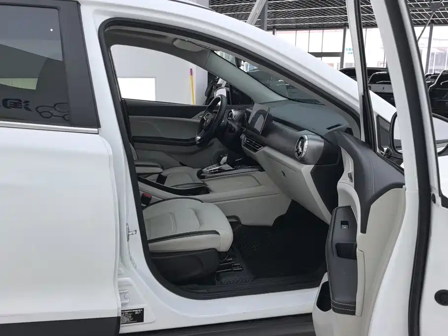 BYD Yuan Pro 2022 2021 401KM Premium Model