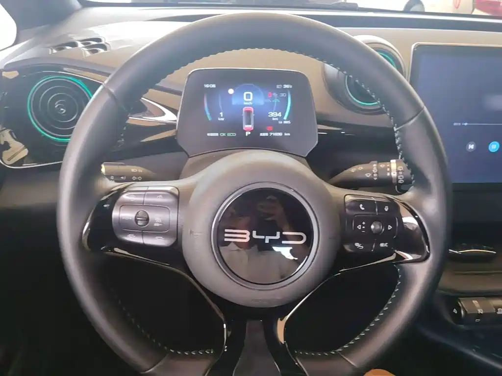 Photo 11 - BYD Dolphin