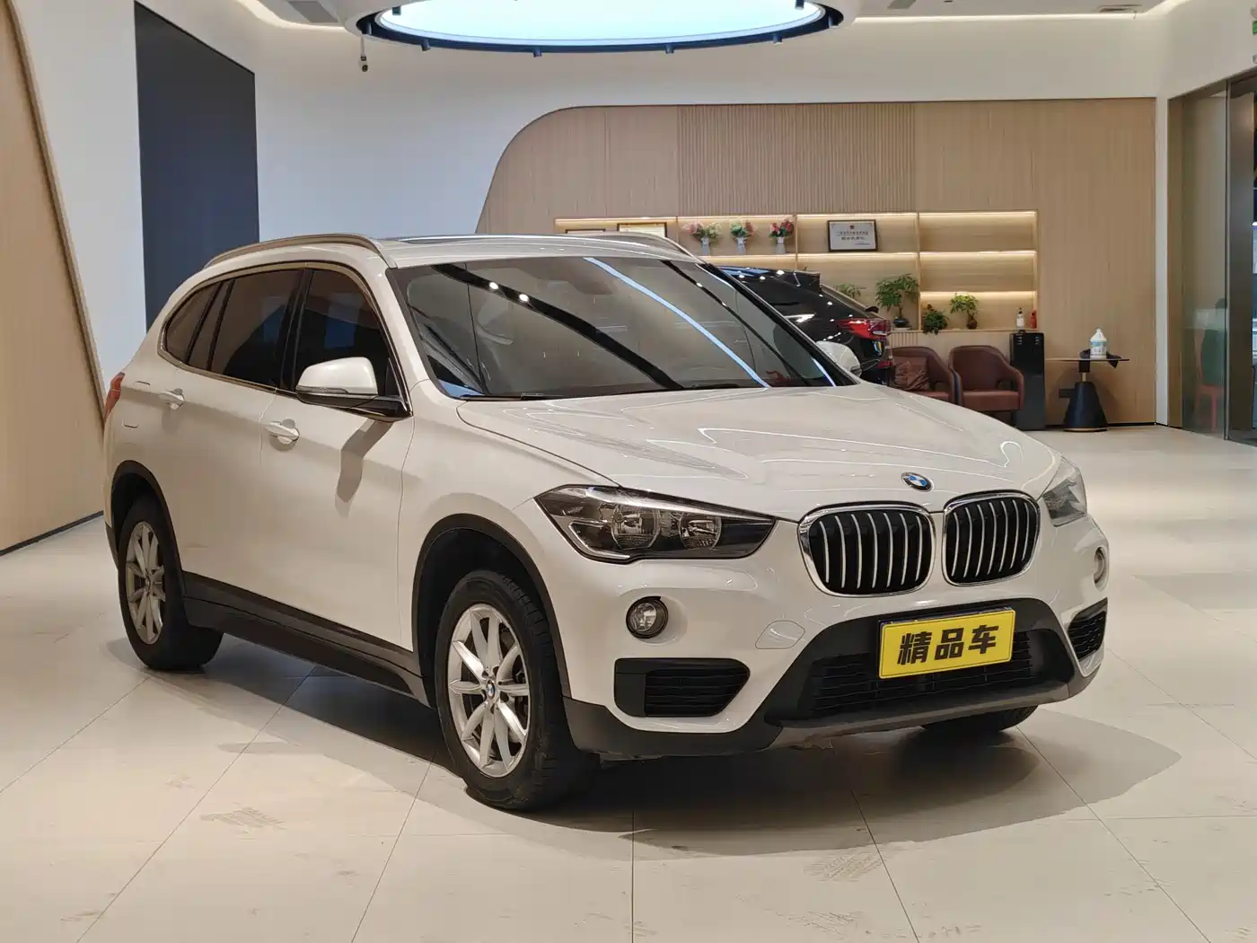 BMW X1 2019 sDrive18Li Fashion Model фото 3