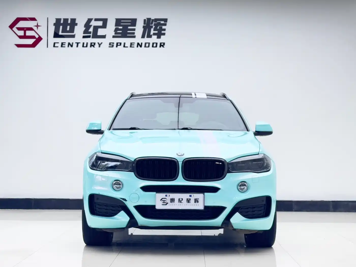 BMW X6 2017 xDrive35i M Luxury Sport фото 3