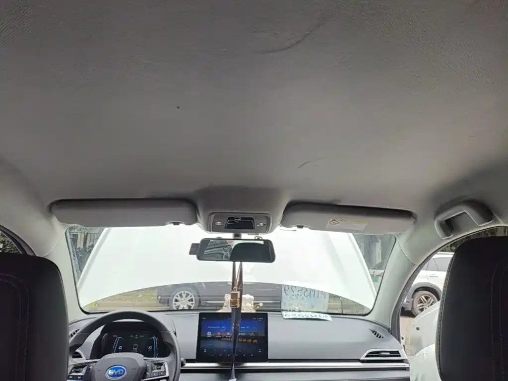 BYD e2 2020 2019 Long Range Yao·Luxury Model
