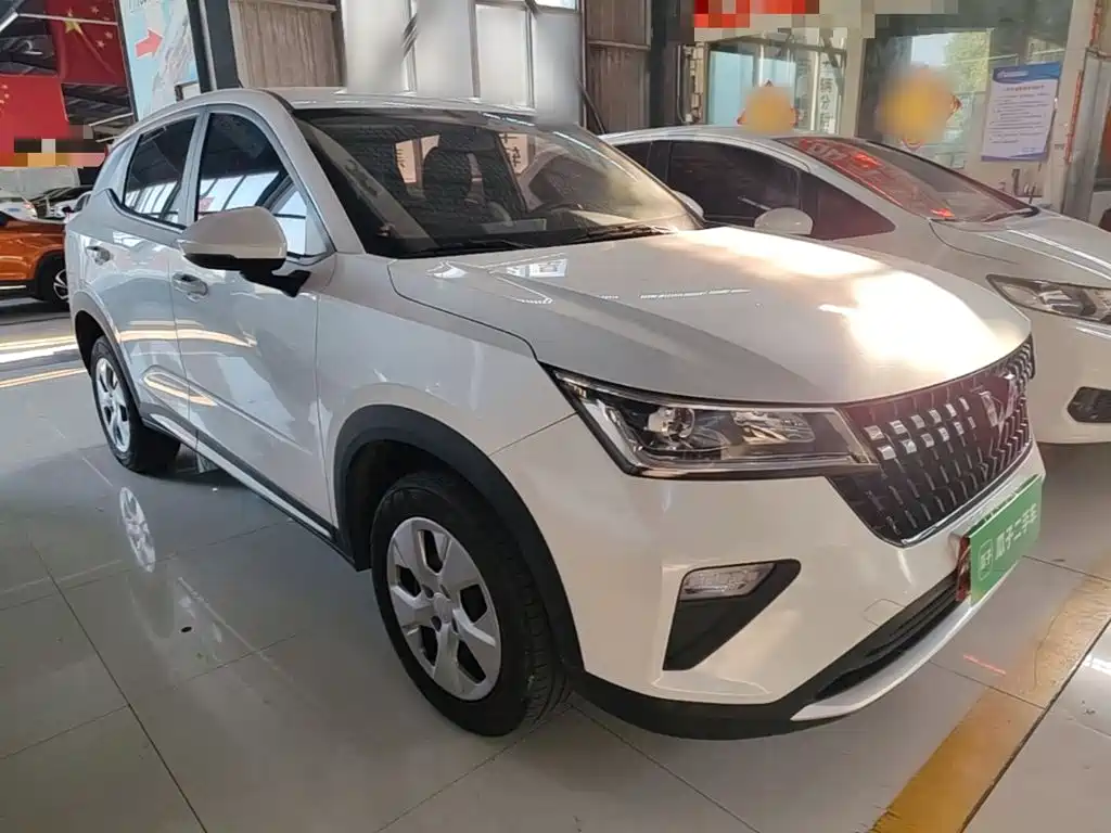 Wuling Motors Wuling Xingchi 2024 2022 1.5L Manual Freedom Edition