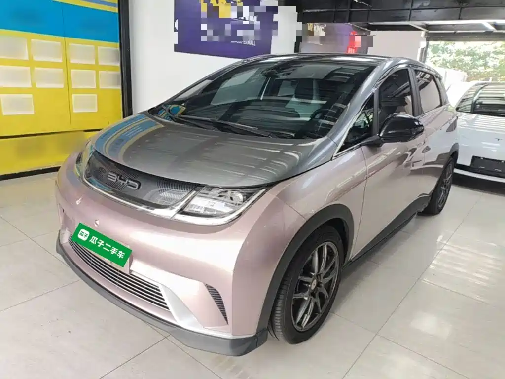  BYD Dolphin 2021 401km Knight Edition