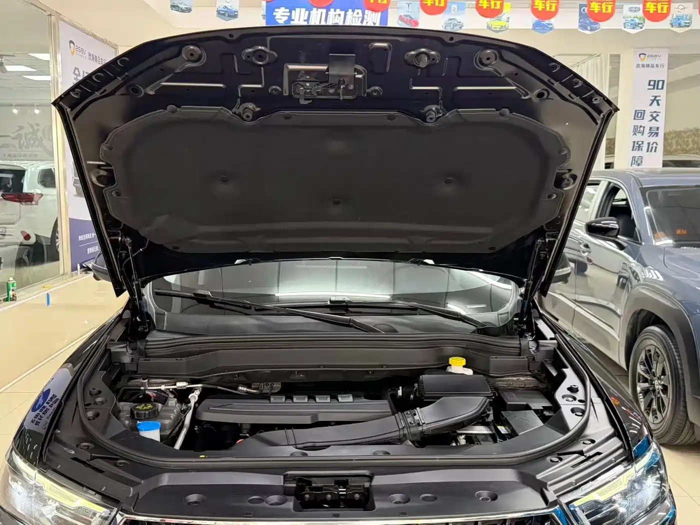 Haval H6 2023 National Trend Edition 1.5T Automatic Champion фото 21