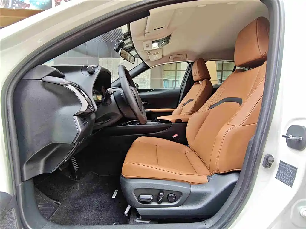 Lexus UX 2020 260h Explore Cool Edition China V фото 6