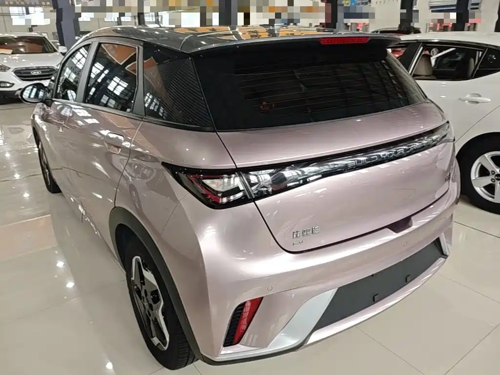 Фото 5 - BYD Dolphin
