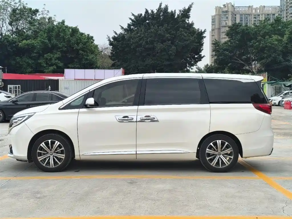 GAC Trumpchi Trumpchi M8 2018 320T Premium Edition фото 4