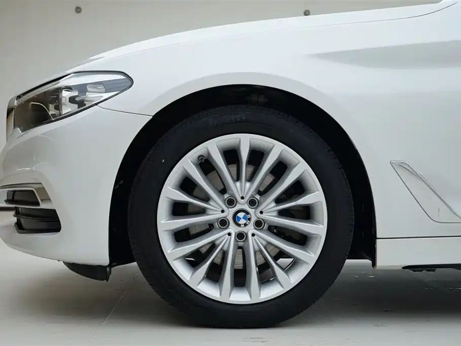 BMW 5 Series 2020 525Li Luxury Package фото 15