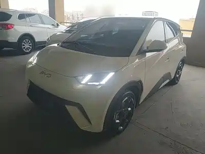 BYD Seagull