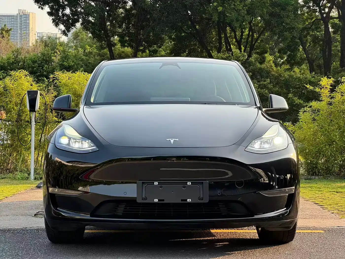 Tesla Model Y 2021 2021 Standard Range Rear-Wheel Drive