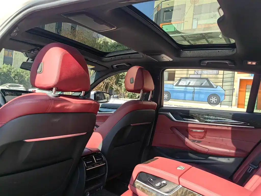 BMW 5 Series 2020 530Li Leading M Sport Package фото 8