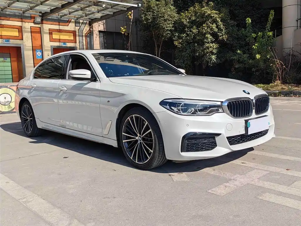 BMW 5 Series 2020 530Li Leading M Sport Package фото 3