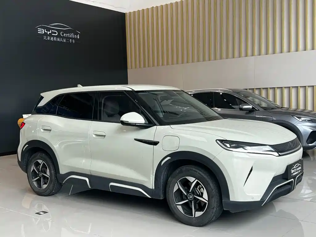 BYD Yuan UP 2024 2024 401KM Leading Edition