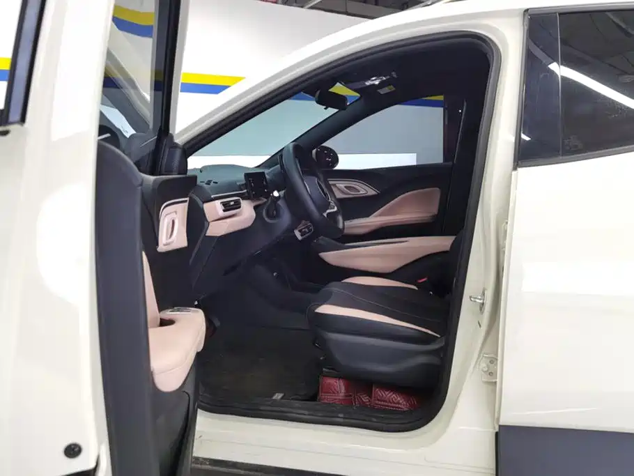 BYD Seagull 2026 2025 Smart Drive Edition 305km Vitality Version