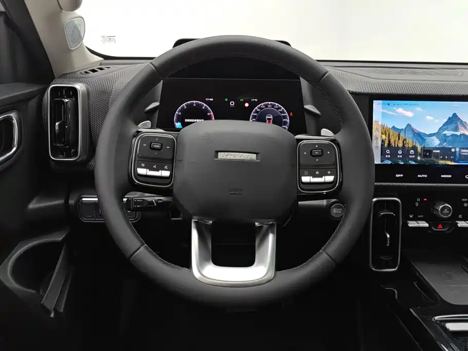 Haval Dargo 2021 2021 1.5T DCT 2WD Border Collie - Wangcai Edition