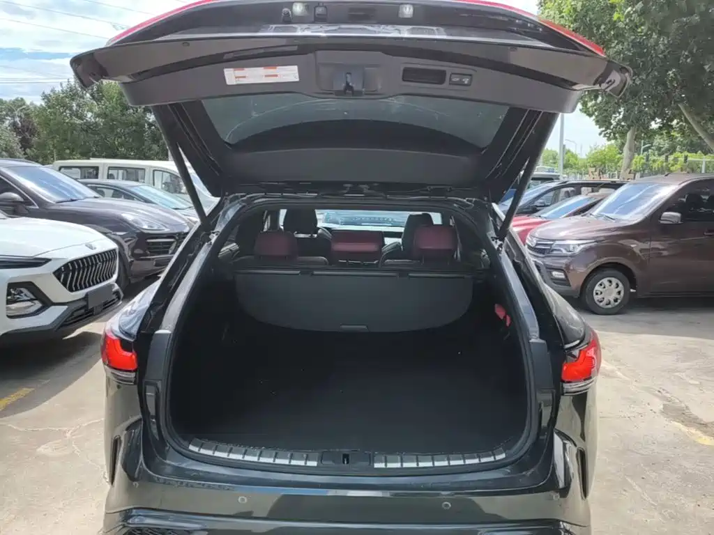 Lexus RX 2024 2023 500h 4WD F SPORT Performance