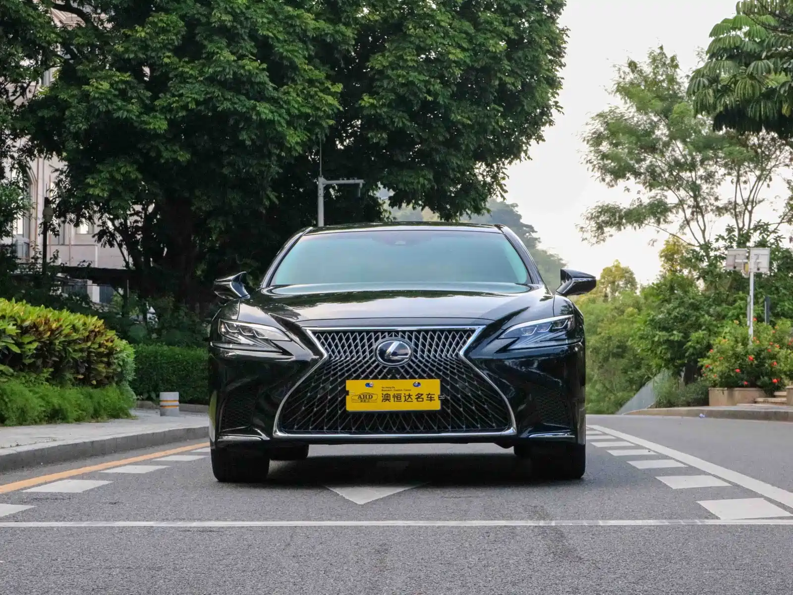 Фото 3 - Lexus LS