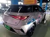 Фото 7 - BYD Dolphin