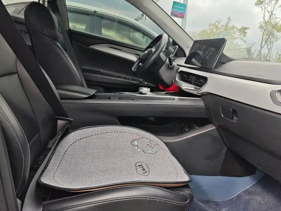 Geely Geometry A 2023 2022 Model Pro 430KM Travel Edition