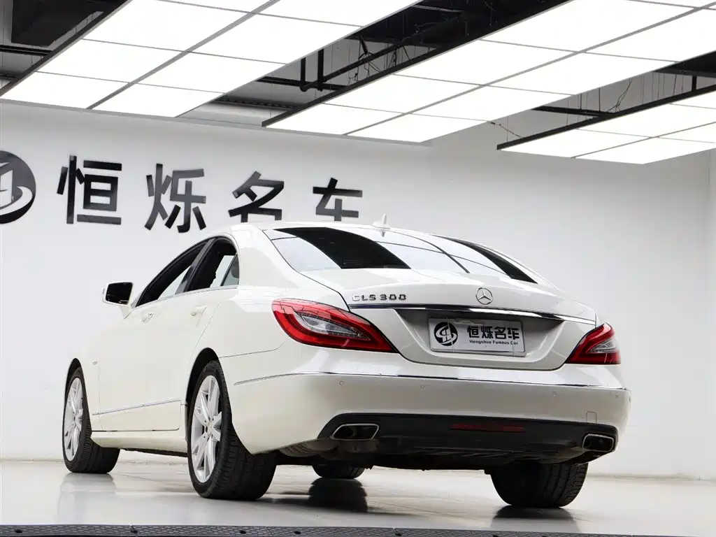 Mercedes-Benz CLS 2012 CLS 300 CGI фото 20