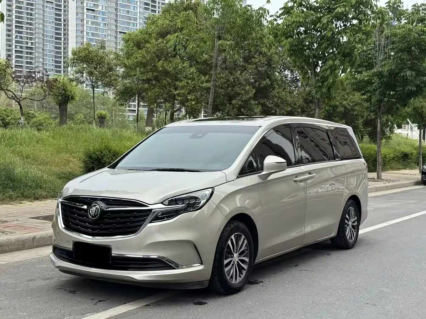 Buick GL8 2021 ES Landlord 653T Premium фото 2
