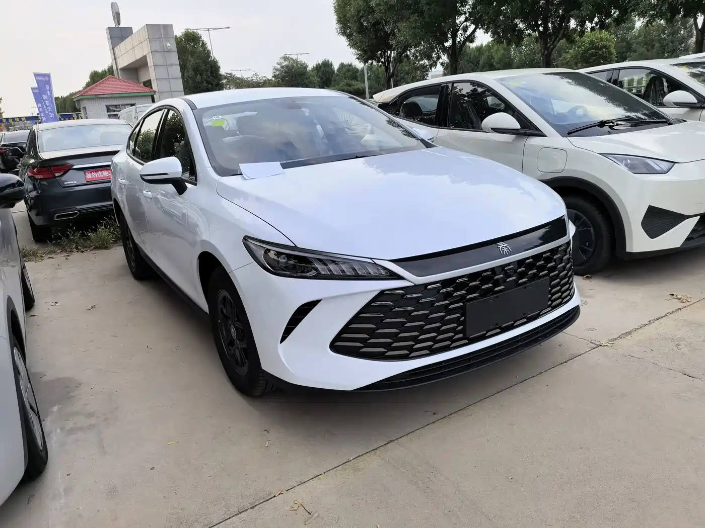 BYD Qin PLUS 2026 2026 DM-i 128KM Progressive