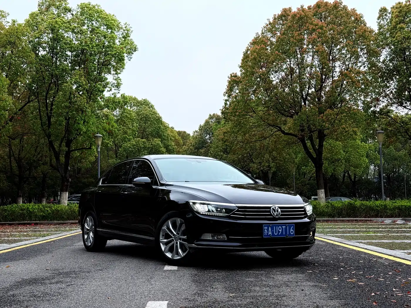 Volkswagen Magotan 2018 330TSI DSG Luxury фото 3