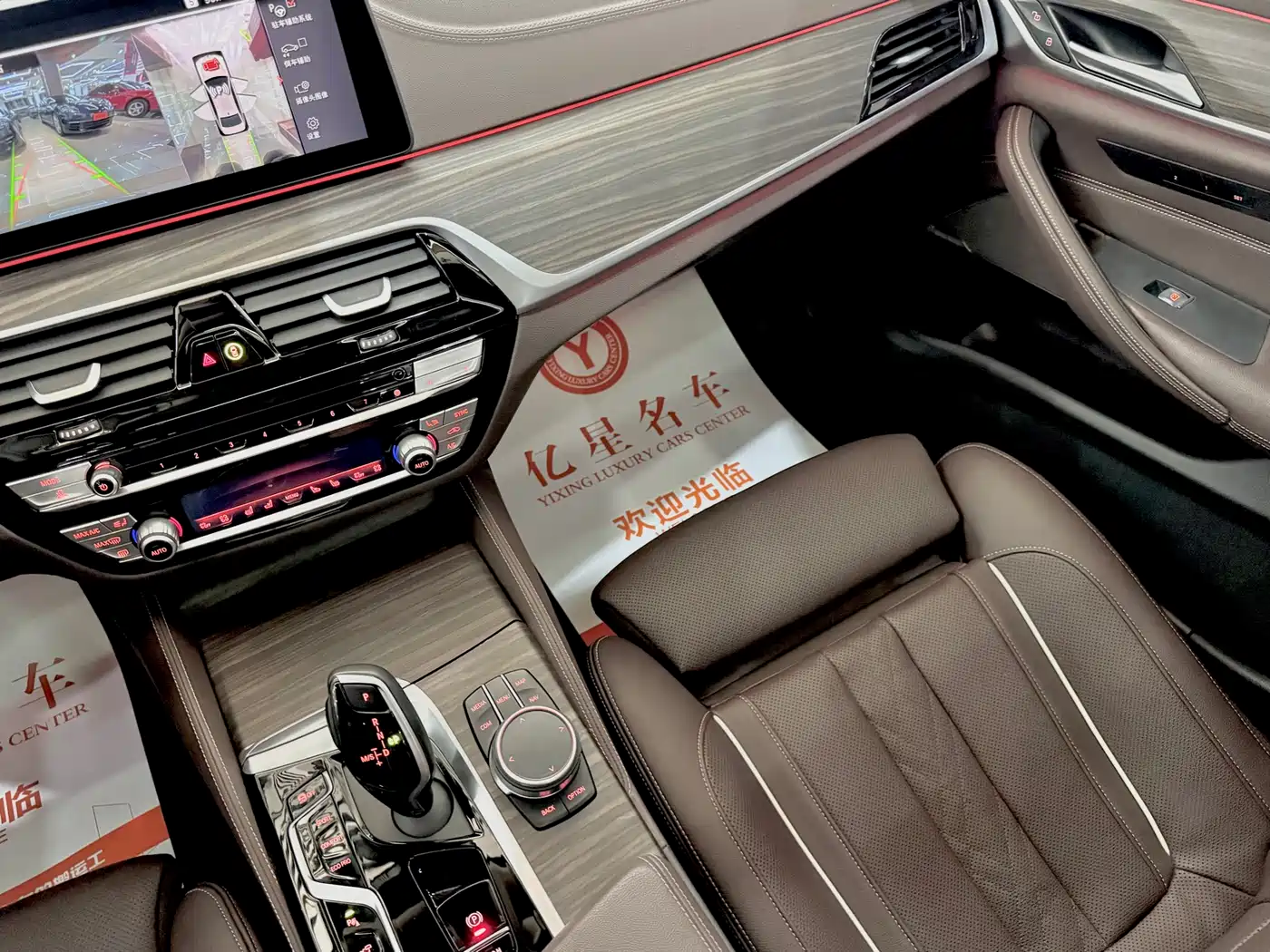 BMW 5 Series 2021 530Li Premium Luxury Package фото 13