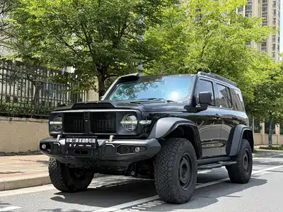 Tank 300