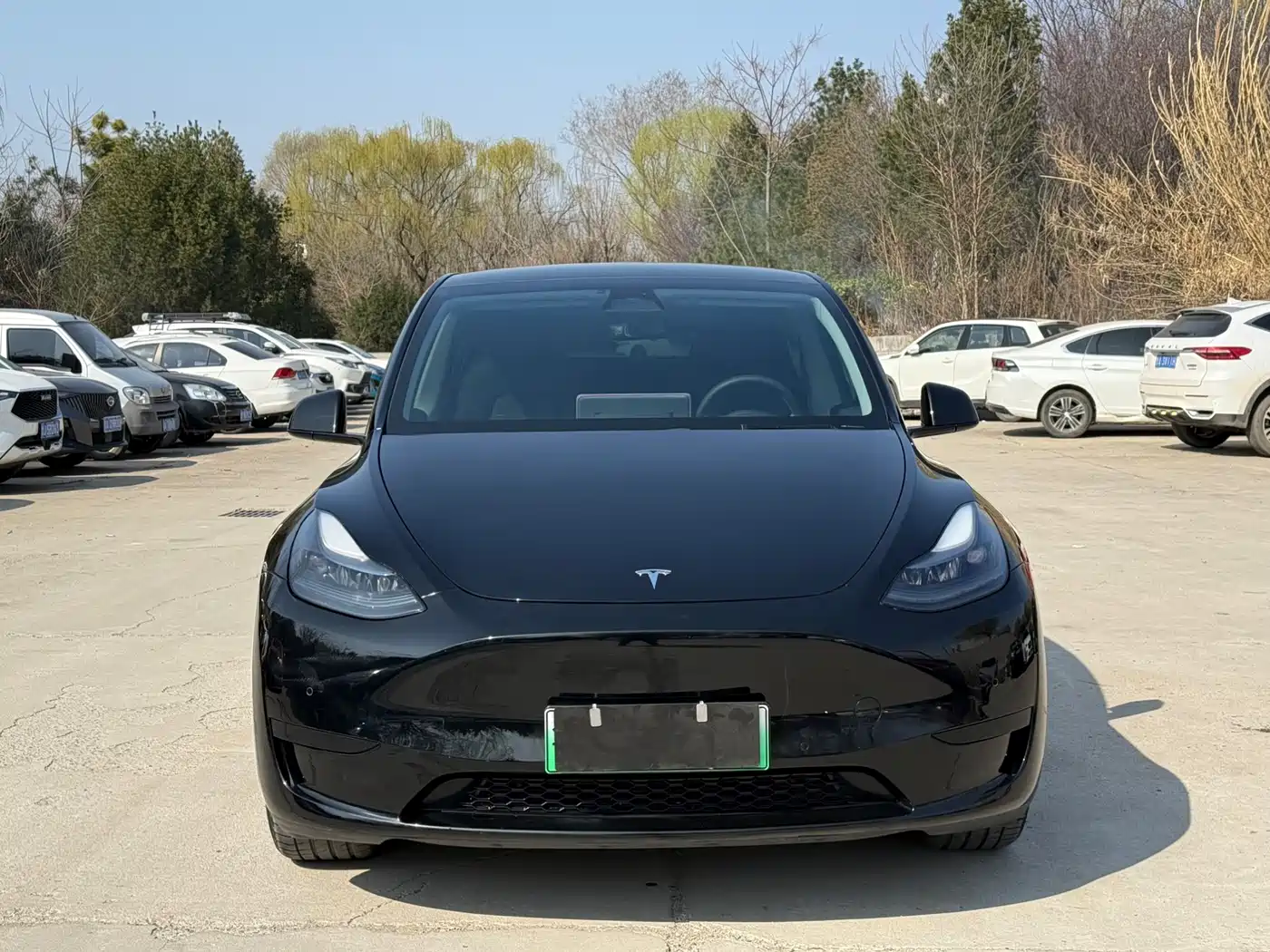 TESLA MODEL Y
