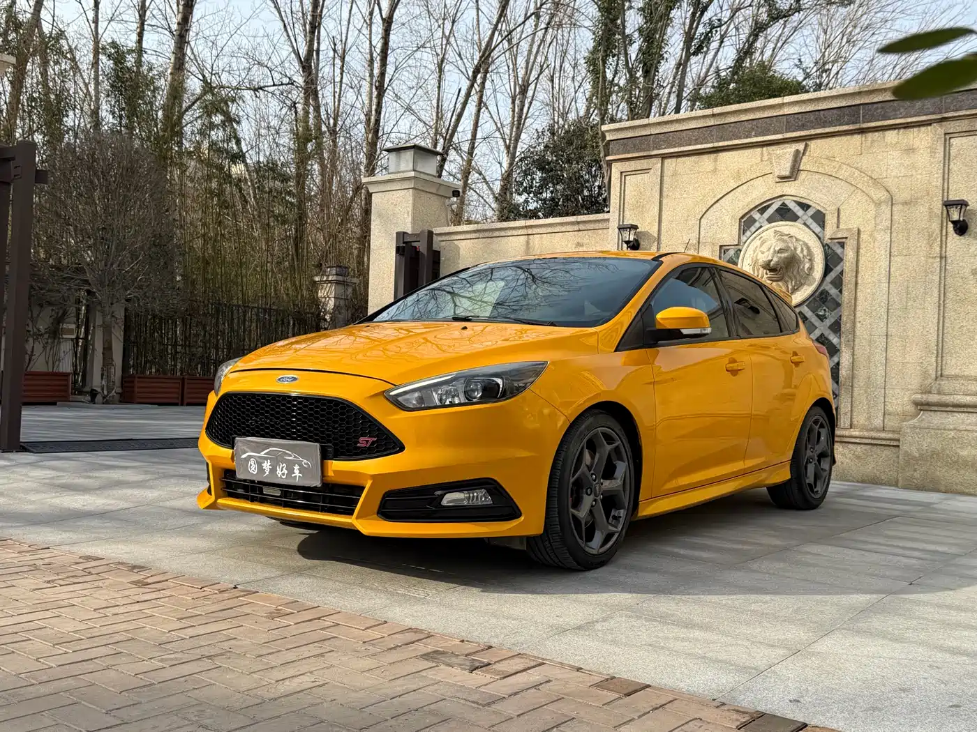 Ford Focus (Import) 2016 2015 2.0T ST Orange Edition