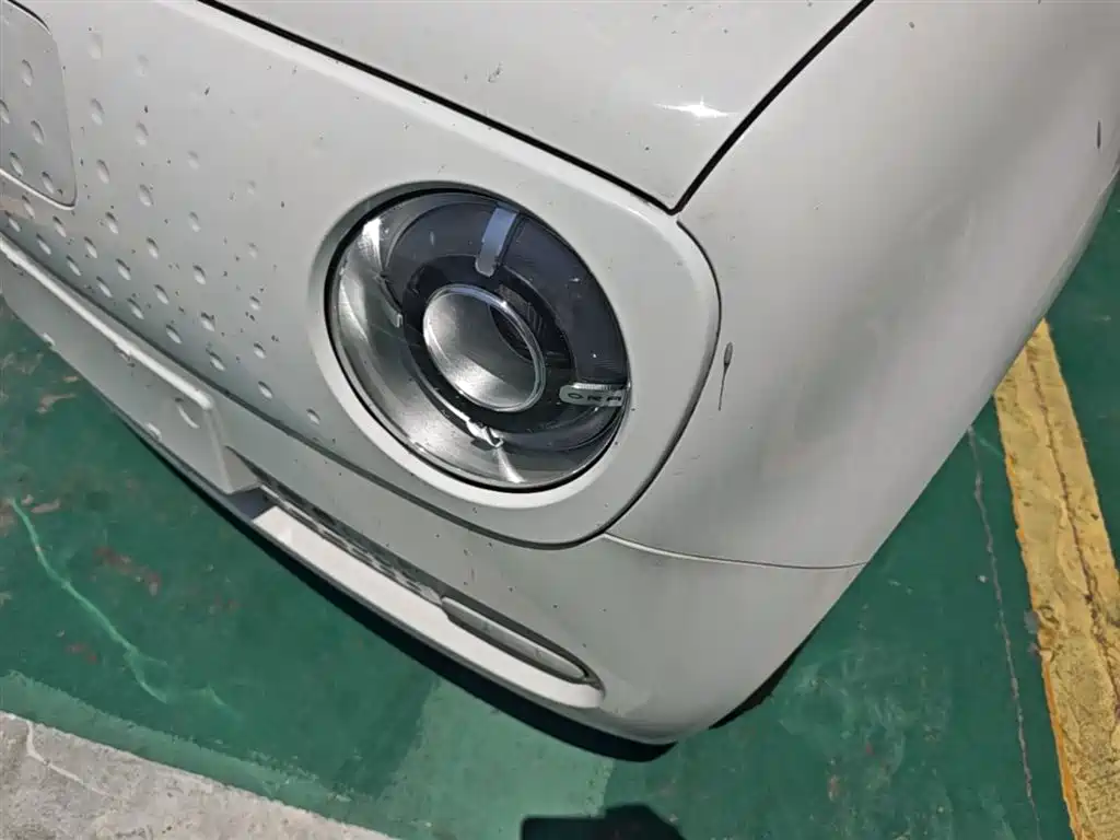 Ora Black Cat 2022 2022 301km Cute Pet Edition (LFP)