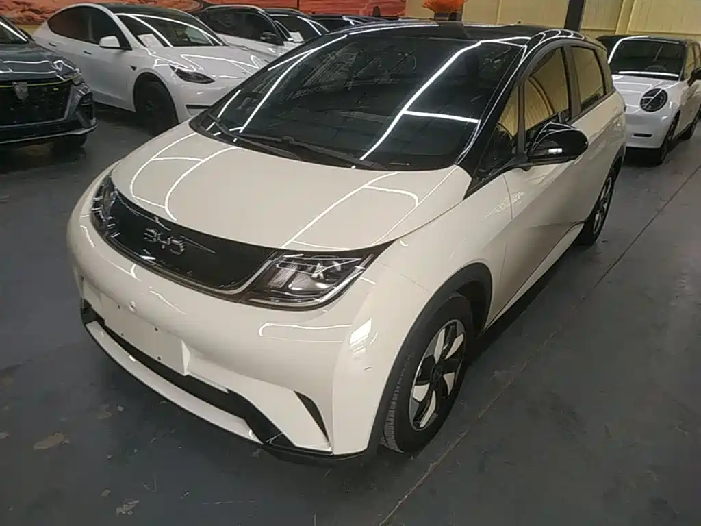 BYD Dolphin 2025 420km Freedom Edition