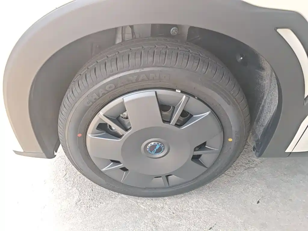 BYD Seagull 2026 2025 Smart Drive Edition 305km Vitality Version