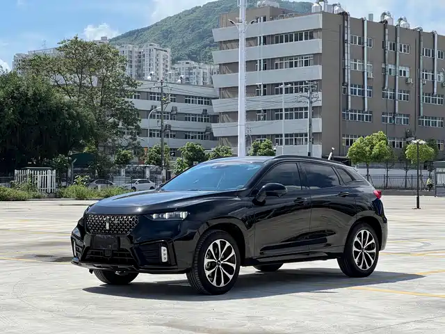 WEY VV7 2020 2.0T Super Luxury