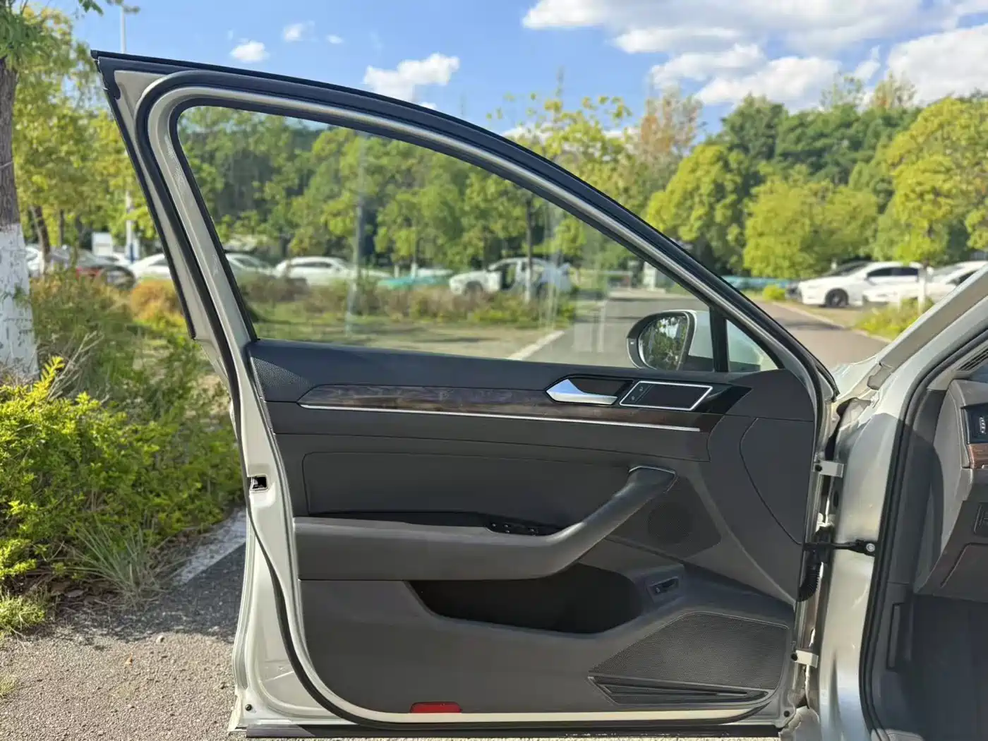 Volkswagen Magotan 2017 330TSI DSG Luxury фото 24