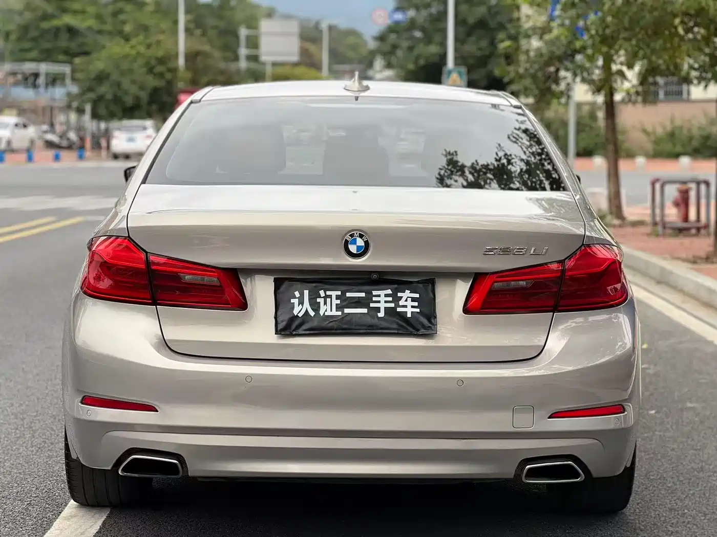 BMW 5 Series 2018 528Li Launch Special Edition фото 5