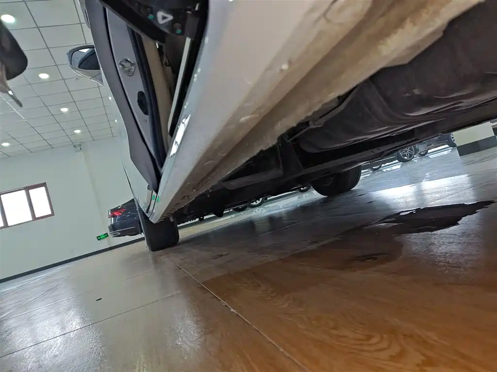 Buick GL8 2023 ES Landmaster Exclusive фото 21