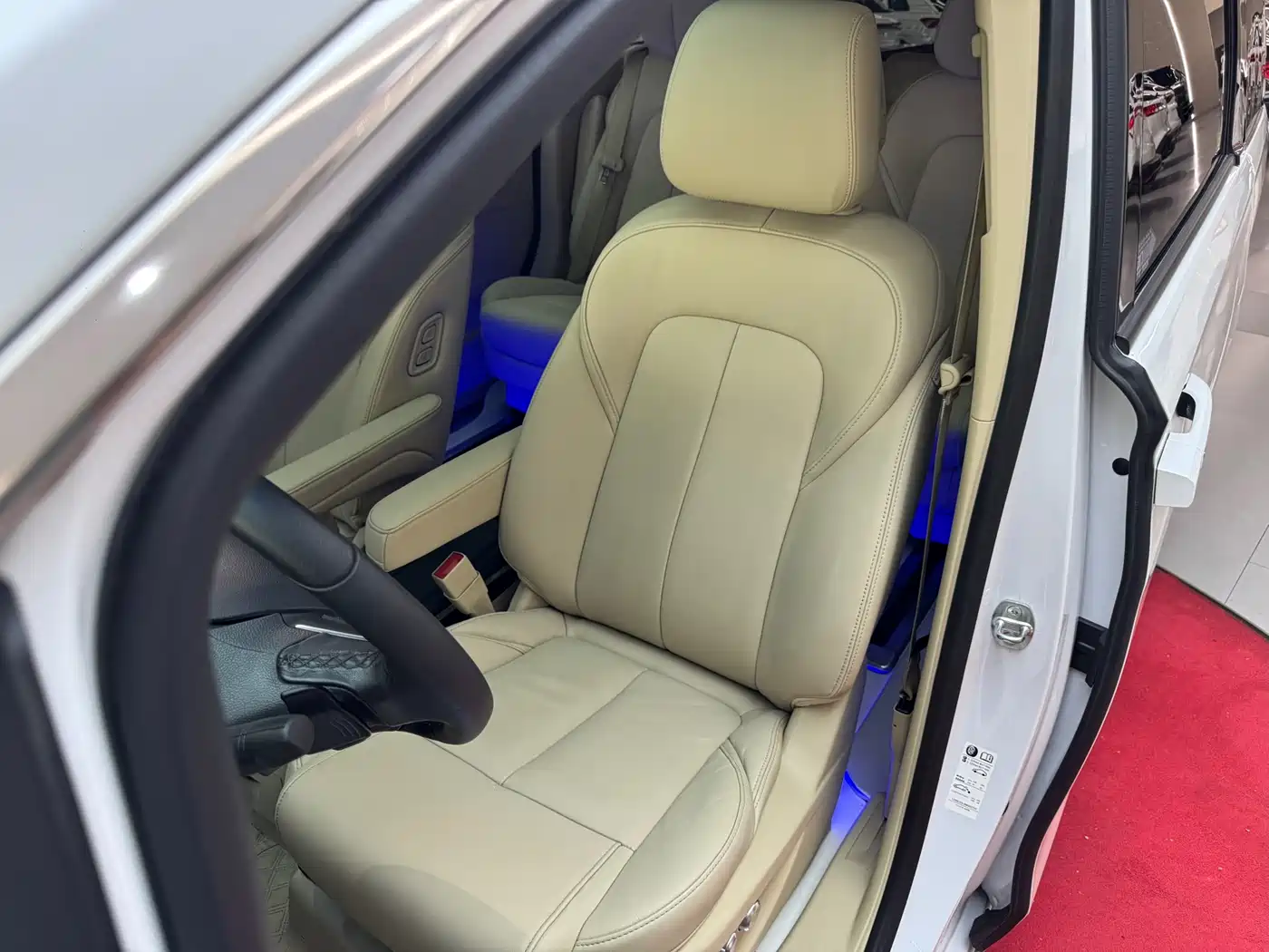 Buick GL8 2022 ES Landmark 653T Premium фото 34