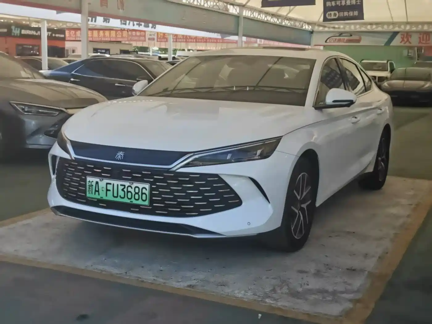 BYD Qin L 2024