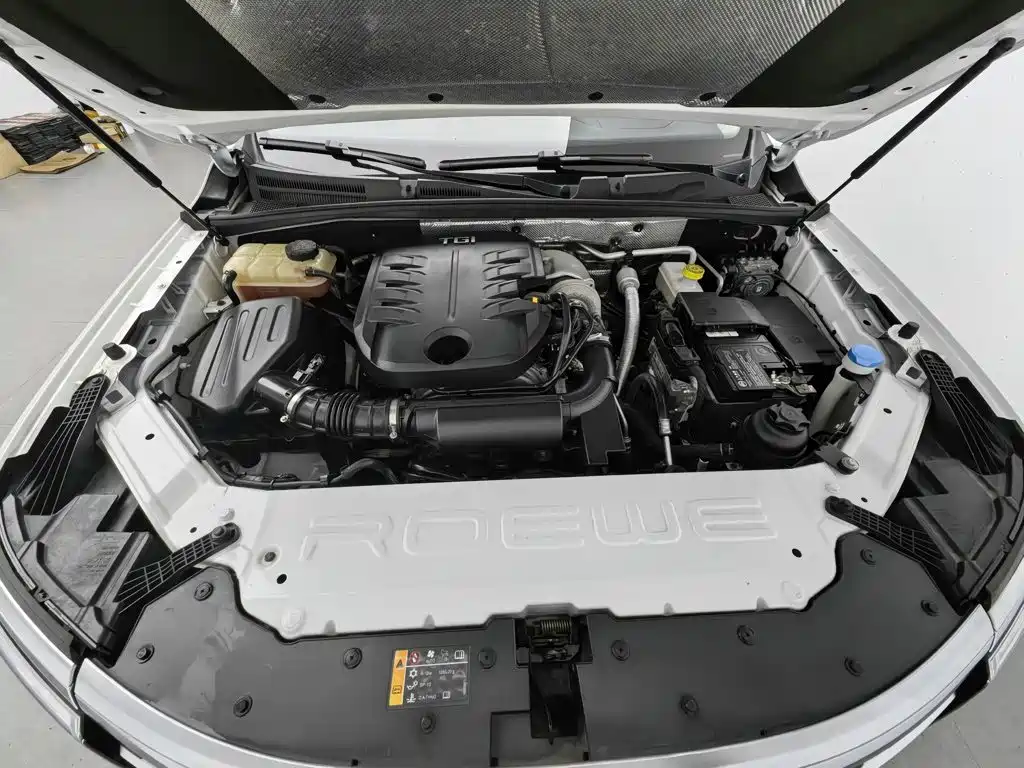 Roewe RX8 2022 2019 30T 2WD Flagship Edition